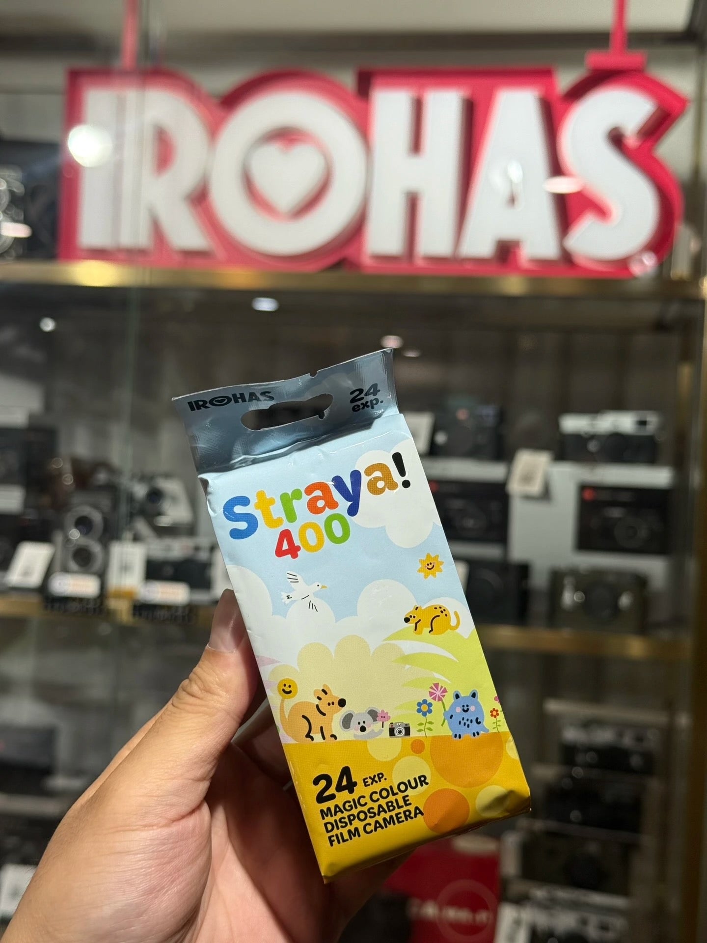 Irohas STRAYA Disposable